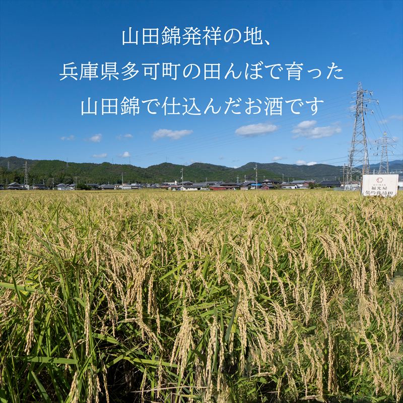 加賀鳶セット（極上原酒 720ml・加賀鳶 720ml）[1199]　日本酒 酒