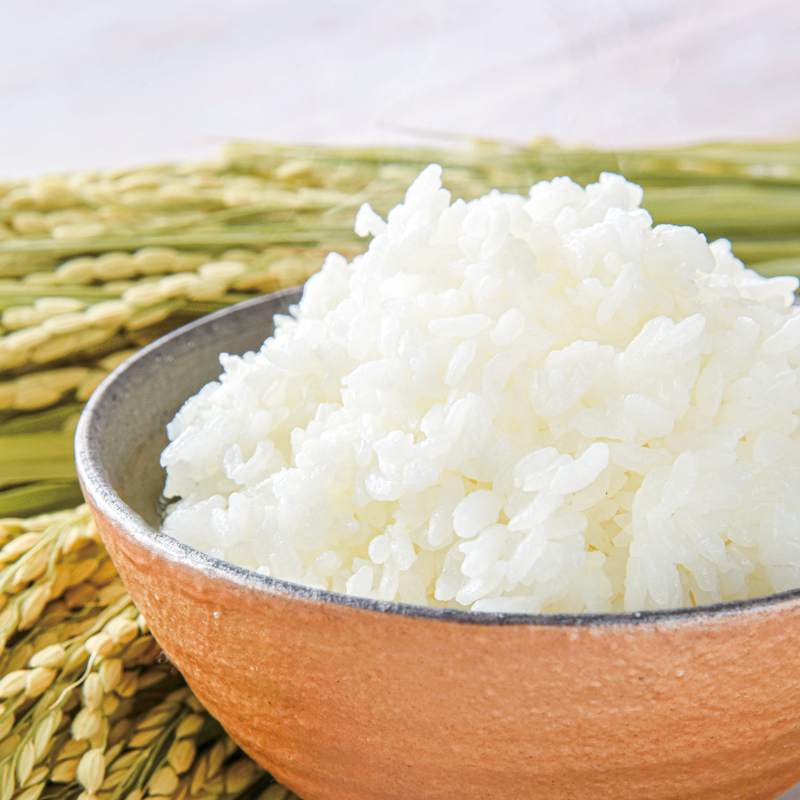 令和７年産 お米 10kg 5kg×2 コシヒカリ 精米 兵庫県多可町産 [1220]