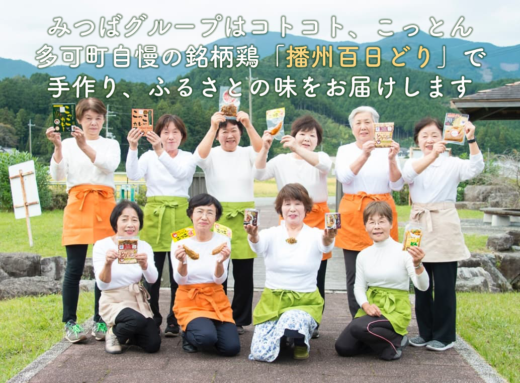 竹 とりめしの具 常温 レトルト 播州百日どり 鶏めし 鶏飯 混ぜご飯 ３合用 簡単 五つ星ひょうご やきとり レンジでチン おつまみ 清流米 コシヒカリ 簡単[222]