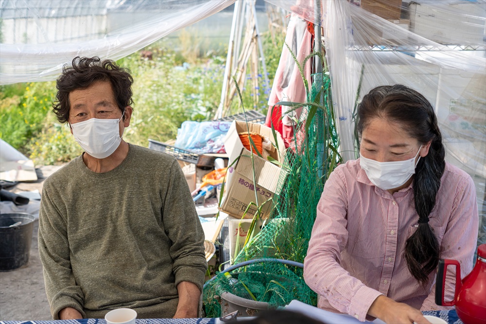 【最優秀賞受賞！甘味＆栄養】有機JAS認証の無農薬、チヨちゃんの野菜３ヶ月定期[942] ３か月定期便