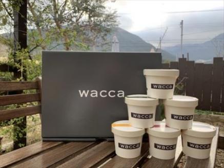 waccaジェラート詰め合わせ12個[298] 12個