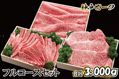 神戸ビーフ フルコースセット TKFC20[618] 神戸牛 太田家