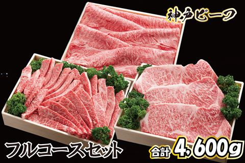 神戸ビーフ フルコースセット TKFC30[619] 神戸牛 太田家