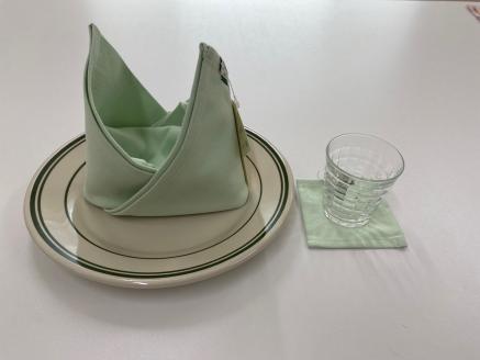 BF KITCHEN　マルチクロス/コースター：各1枚（ほうれん草）[1032] ほうれん草