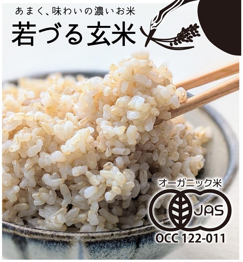 【若づる米】オーガニック 有機米 きぬむすめ 玄米 3kg[1175]