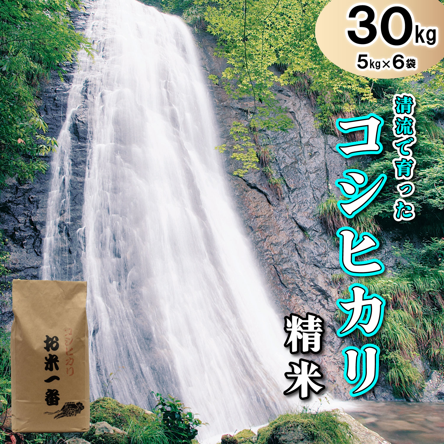 多可町加美区の清流で育ったコシヒカリ【精米】５kg×６袋[827] ５kg×６袋