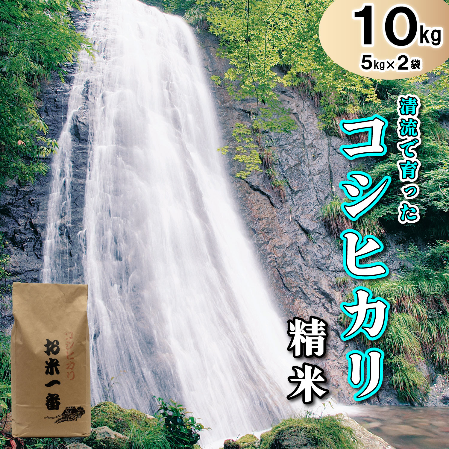 多可町加美区の清流で育ったコシヒカリ【精米】５kg×２袋[829] ５kg×２袋