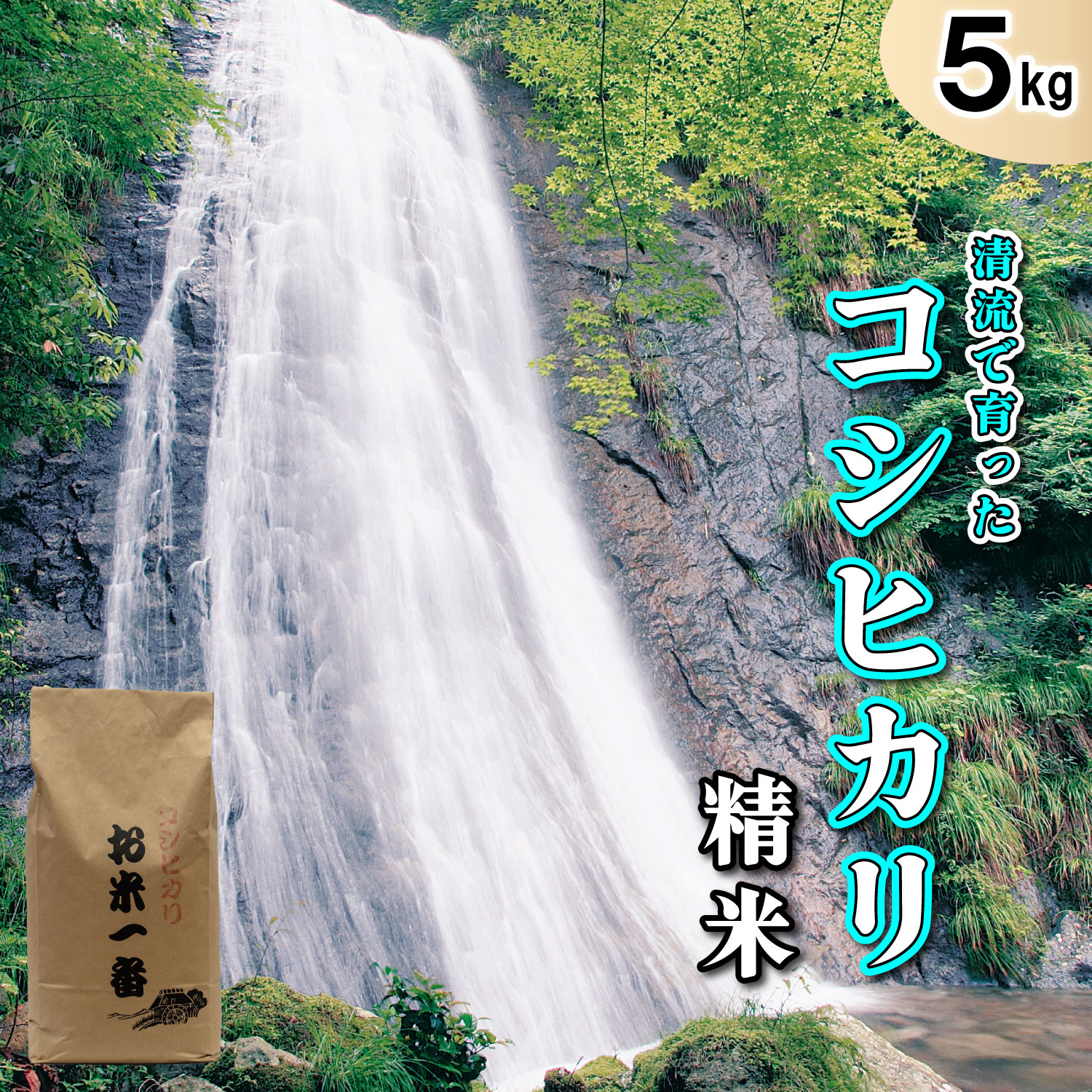 多可町加美区の清流で育ったコシヒカリ【精米】５kg[830] ５kg