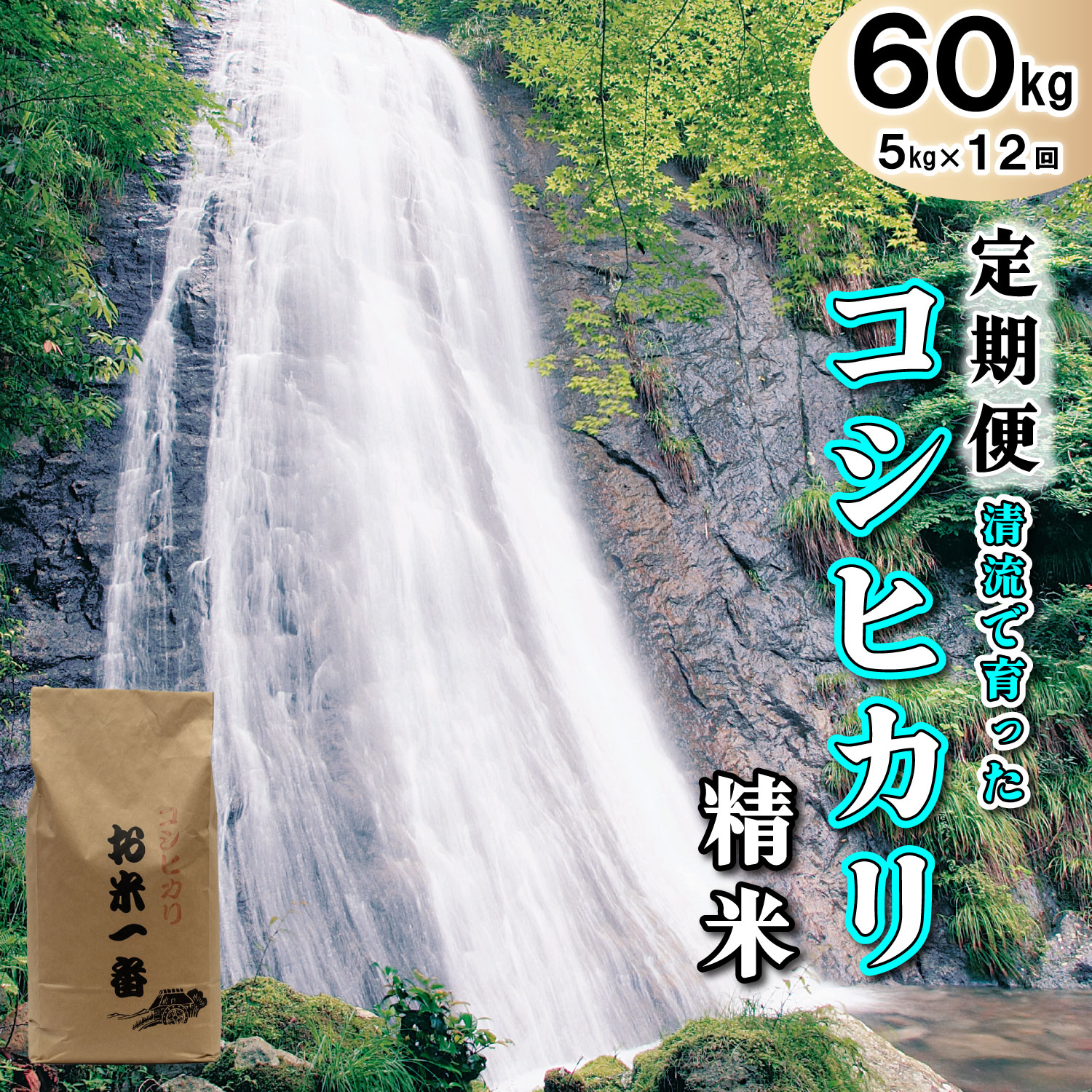 【定期便】多可町加美区の清流で育ったコシヒカリ【精米】５kg×12か月[833] ５kg６回定期便