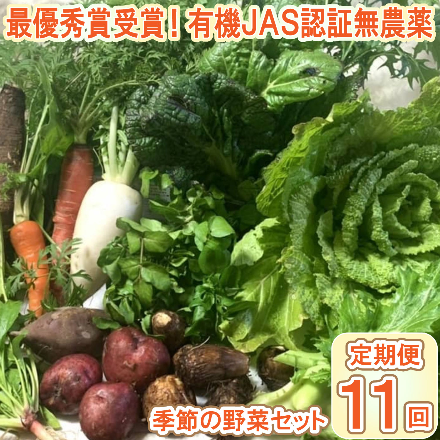 【最優秀賞受賞！甘味＆栄養】有機JAS認証の無農薬、チヨちゃんの野菜11ヶ月定期[961] 11か月定期便