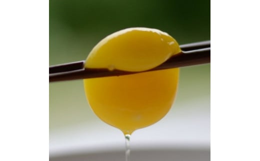 黄身のつまめる元気たまご50個（40＋割れ保障10個）[228]