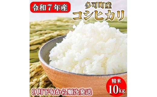 令和７年産 お米 10kg 5kg×2 コシヒカリ 精米 兵庫県多可町産 [1220]