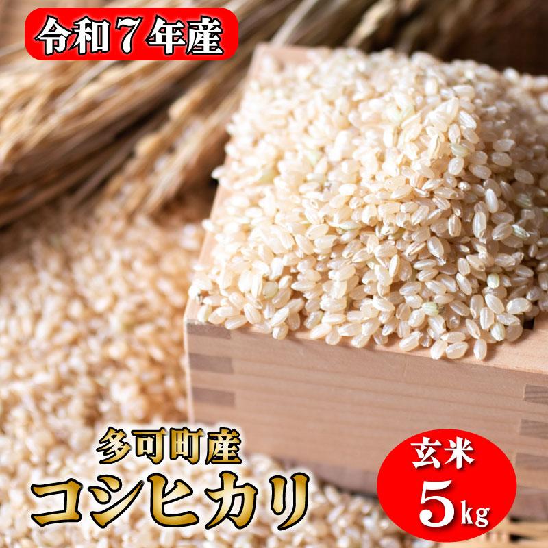 玄米 お米 ５kgコシヒカリ 兵庫県多可町産 [1292]