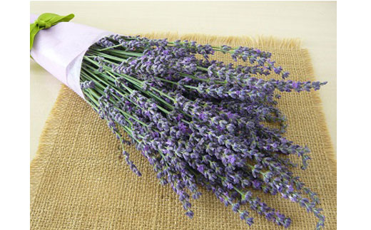 ラベンダーの贈り物[072]