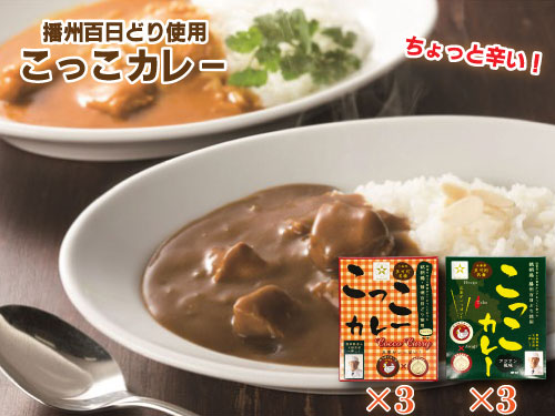 すぎはら川 こっこカレー レトルトカレー オリジナル アジアン風味 常温 温めるだけ 播州百日どり 非常食 アウトドア キャンプ飯 お手軽[270]