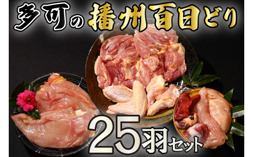 百日の間、じっくり育てた鶏は、歯ごたえとコクのある旨みが特徴です。