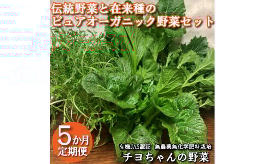 【季節限定】伝統野菜と在来種のピュアオーガニック野菜セット５か月定期便[1180]