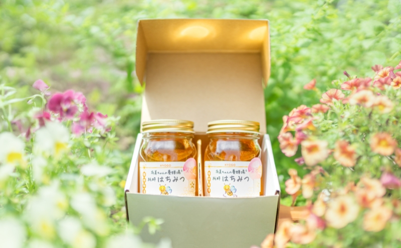 はちみつ 五つ星ひょうご認定商品 有美ちゃんの養蜂場の純粋はちみつ 480g 2個 セット ハチミツ 蜂蜜 非加熱 生はちみつ 国産 セット ハニー 加工品