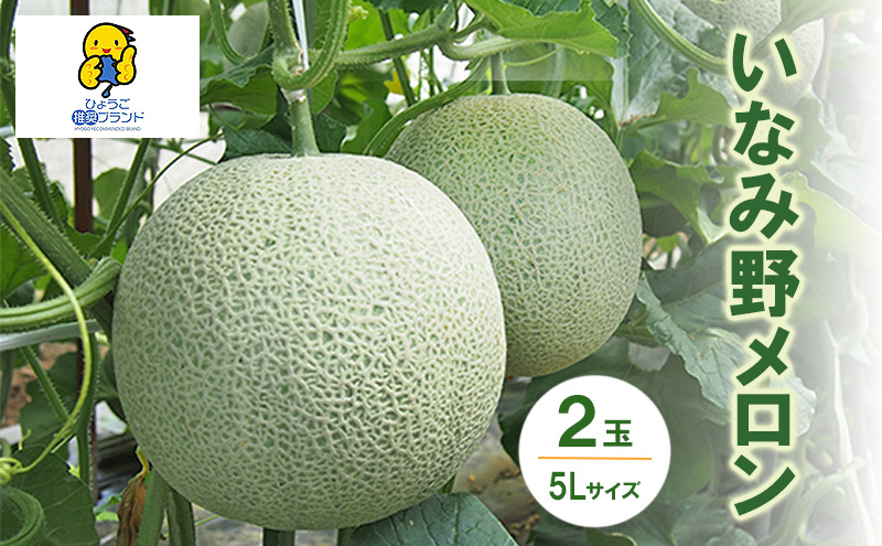 いなみ野メロン2玉　5Lサイズ
