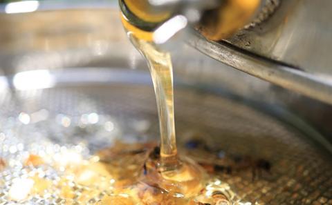 はちみつ 五つ星ひょうご認定商品 有美ちゃんの養蜂場の純粋はちみつ 480g 2個 セット ハチミツ 蜂蜜 非加熱 生はちみつ 国産 セット ハニー 加工品