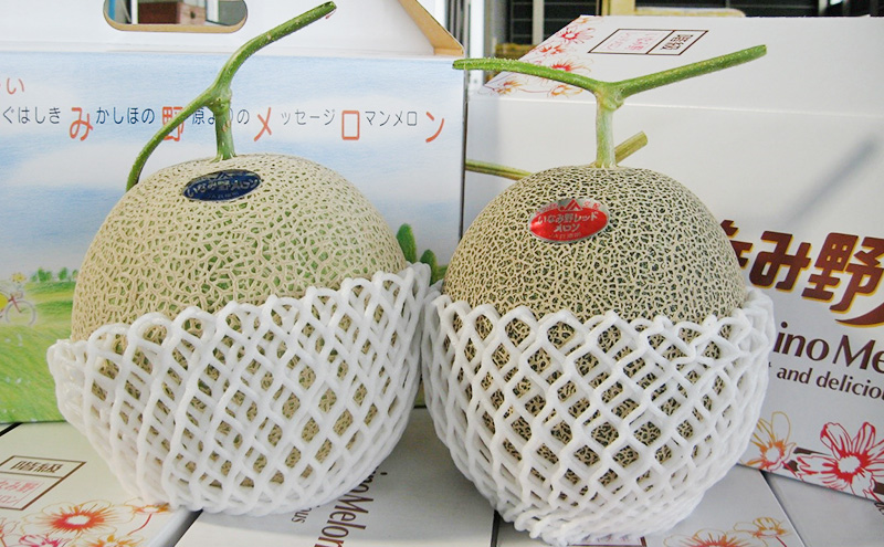 いなみ野メロン2玉　5Lサイズ