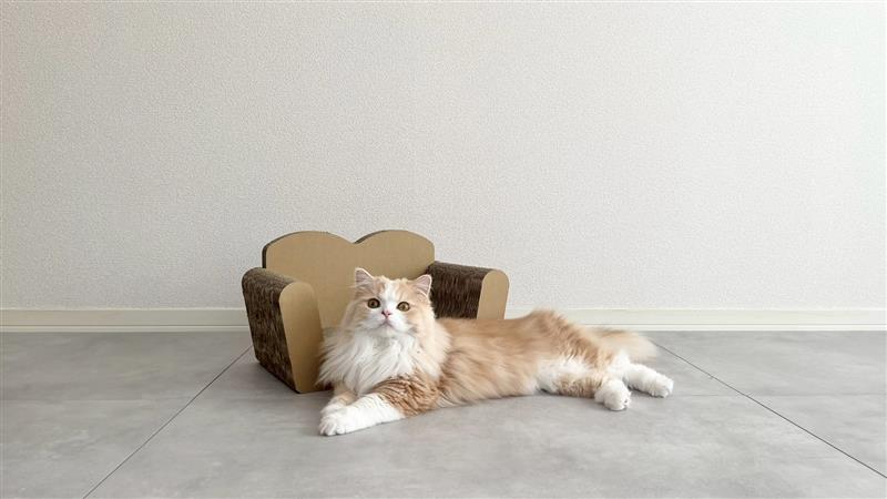 ねこ用爪とぎ（ソファ）〔 猫 ネコ 爪 爪とぎ 〕