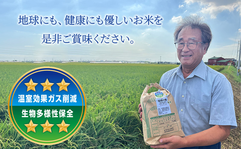 【令和7年産 新米】米 コシヒカリ 稲穂の香 10kg 精米 白米 お米 こめ コメ 最高級米 ご飯 ごはん こしひかり 兵庫県産 兵庫 兵庫県 稲美町