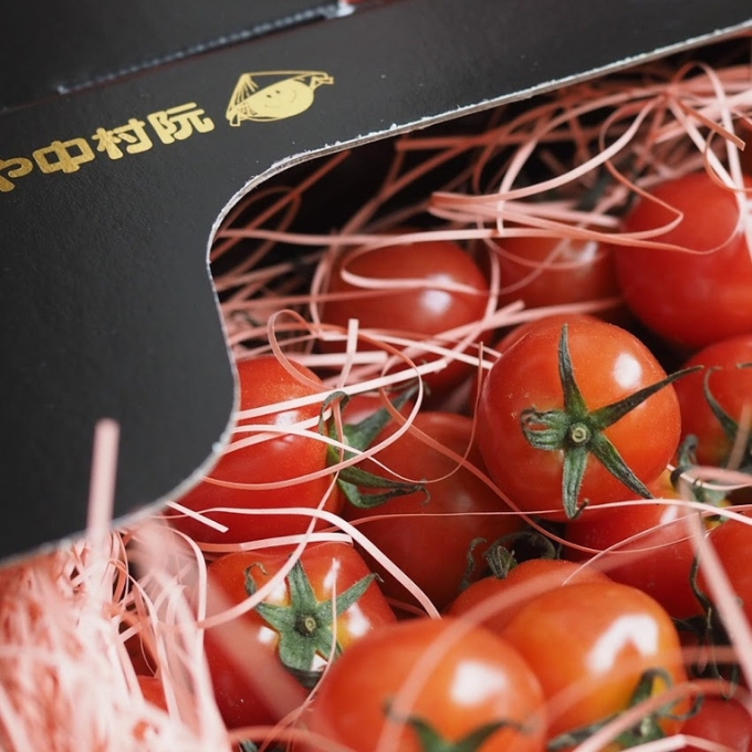 ミニトマト プチぷよ 1.2kg 第一回全国 ミニトマト 選手権銀賞