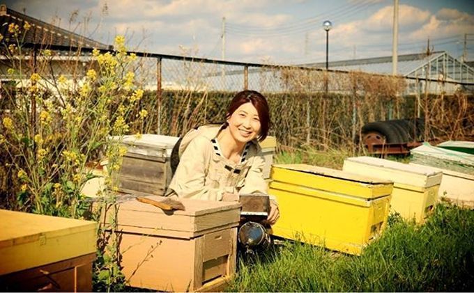 はちみつ 五つ星ひょうご認定商品 有美ちゃんの養蜂場の純粋はちみつ 480g 2個 セット ハチミツ 蜂蜜 非加熱 生はちみつ 国産 セット ハニー 加工品