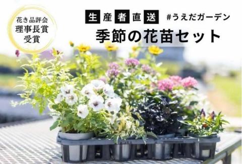 【生産者直送】季節の花苗セット【配送不可：離島】
