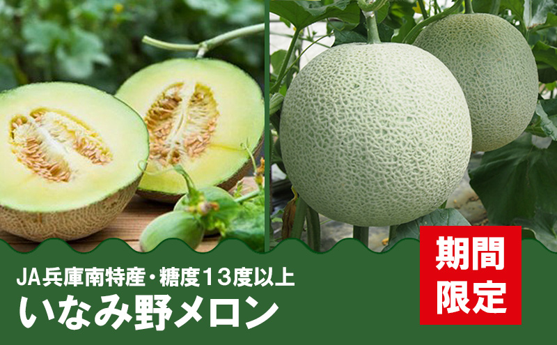 いなみ野メロン2玉　5Lサイズ