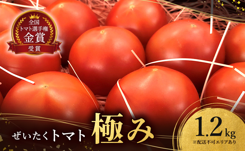 ぜいたく トマト (極み) 1.2kg 第一回全国トマト選手権（ミディアム部門）金賞