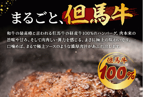 但馬牛経産牛ハンバーグ（150g×5個）010AA09N.