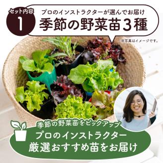 011BK03N.はじめての家庭菜園キット「サラダガーデン」（プランター色：ネイビー）
