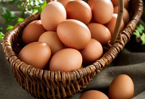 タズミの卵Ｍサイズ（30個）008AB01N.