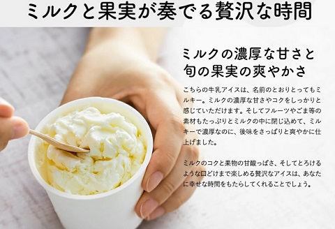 アイスクリーム詰め合わせ（10個）012AE01N.