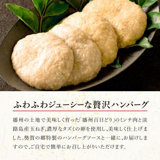 勢賀の郷　チキンハンバーグ（4個入り）009VS01N.