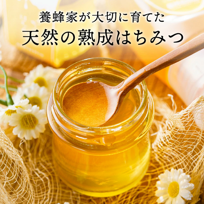 【2025年採蜜】 完熟はちみつ　120g （藤岡養蜂園）004FY01N.