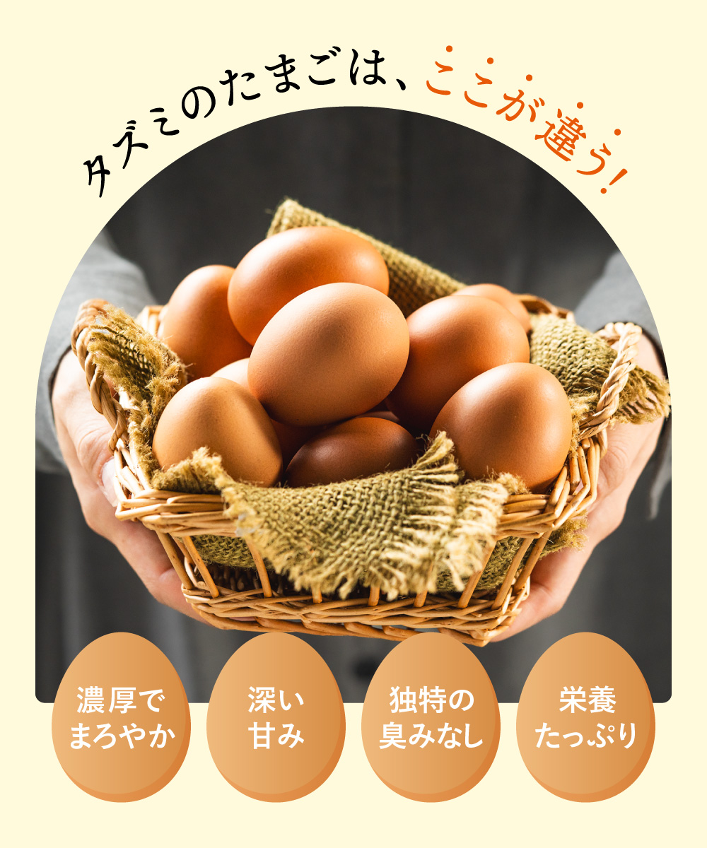 【TVで紹介されました】【定期便】タズミの卵Ｍサイズ（30個×6か月）044AB01N.