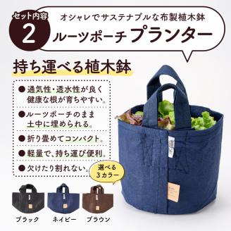 011BK01N.はじめての家庭菜園キット「サラダガーデン」（プランター色：ブラック）