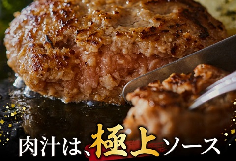 但馬牛経産牛ハンバーグ（150g×10個）020AA09N.