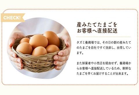 タズミの卵Ｍサイズ（30個）008AB01N.