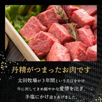 神戸ビーフ　不揃いサイコロステーキ（600ｇ）030OT01N.