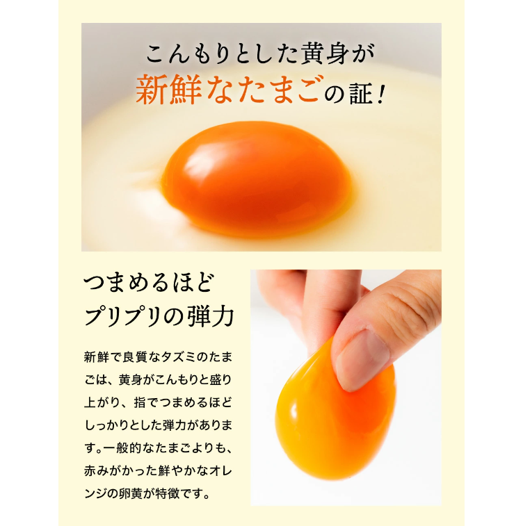 【新開発！】オリーブオイルを使ったタズミのマヨネーズ 5本　007AB01N.