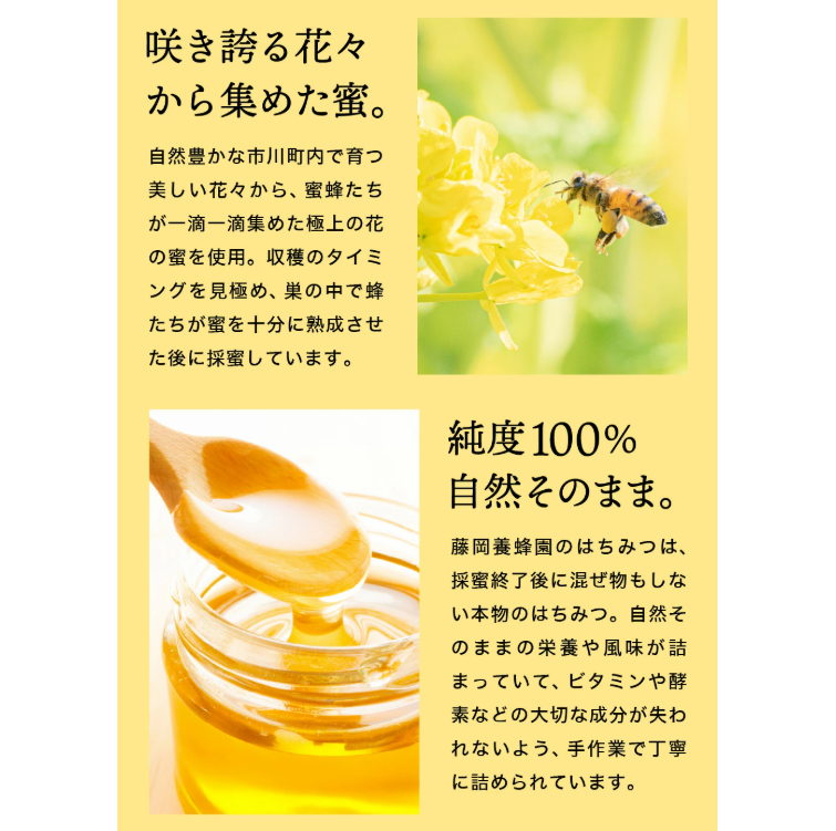 【2025年採蜜】 完熟はちみつ　500g（藤岡養蜂園） 　014FY01N.