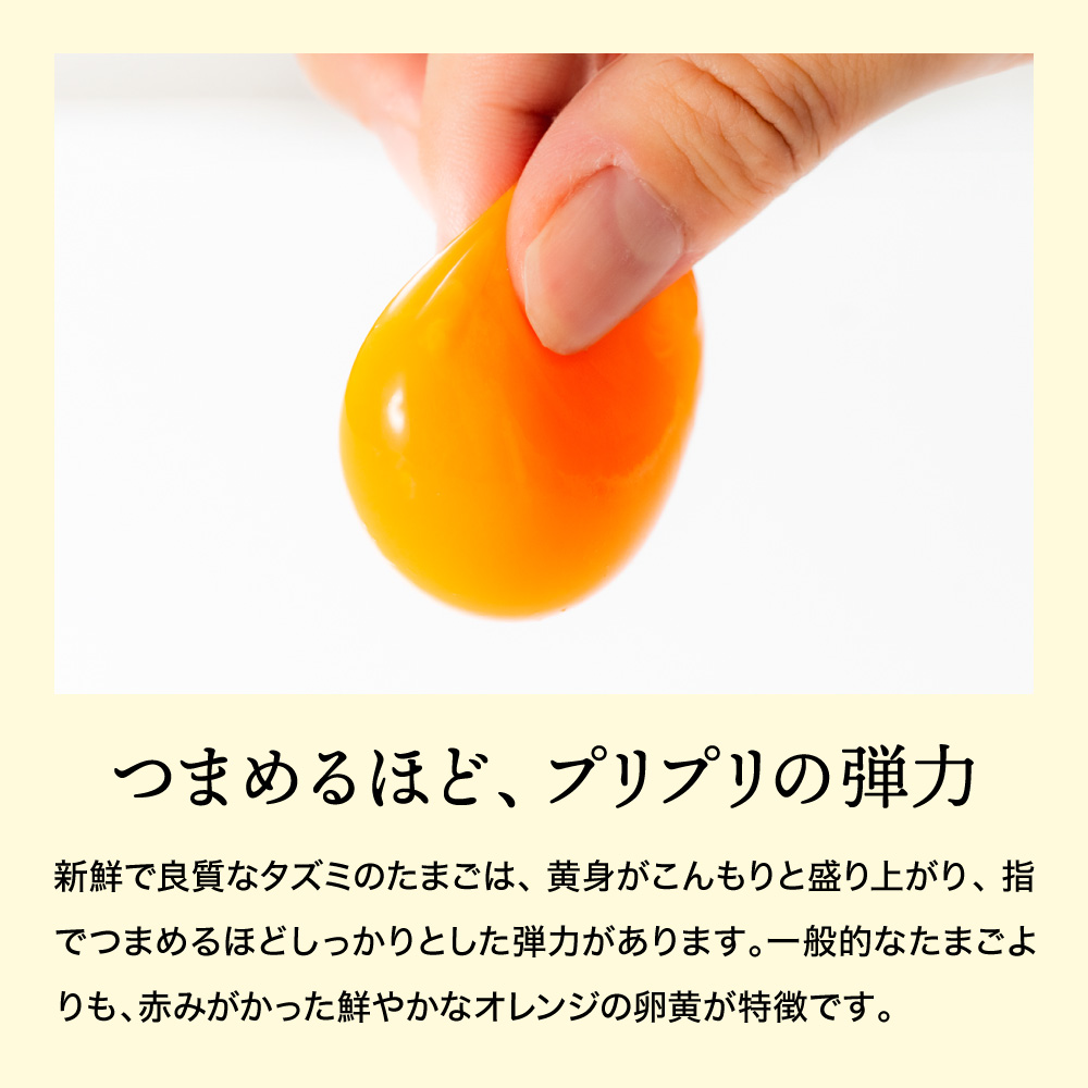 【TVで紹介されました】【定期便】タズミの卵Ｌサイズ（30個×12ヶ月）097AB01N.