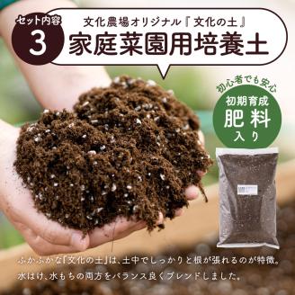 011BK02N.はじめての家庭菜園キット「サラダガーデン」（プランター色：ブラウン）