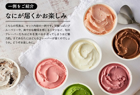 アイスクリーム詰め合わせ（10個）012AE01N.