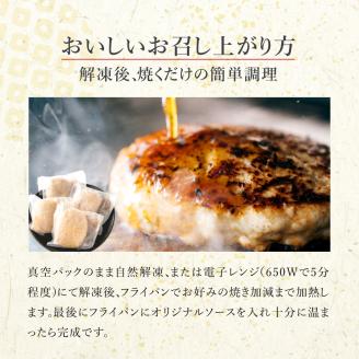 勢賀の郷　チキンハンバーグ（4個入り）009VS01N.