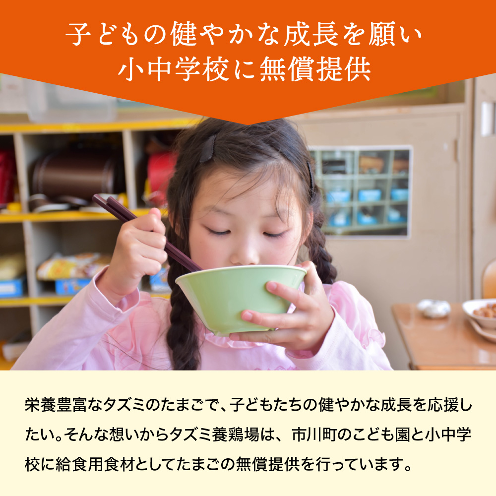 【TVで紹介されました】【定期便】タズミの卵Ｍサイズ（30個×3か月）022AB01N.